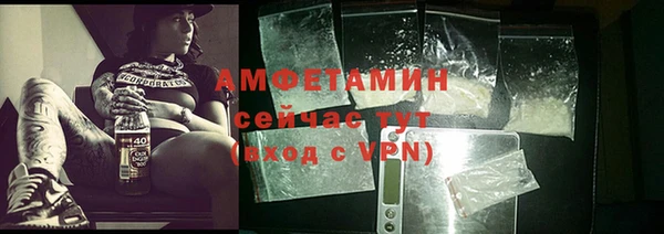 амф Алексин