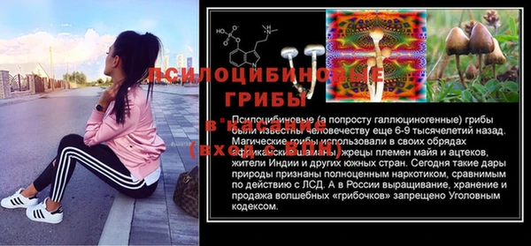 прущий лед Алексеевка