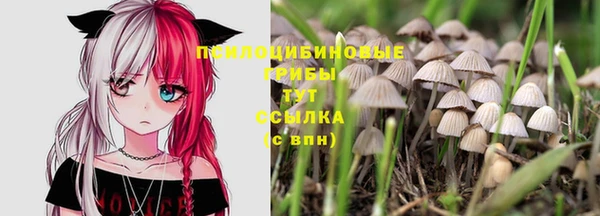 амф Алексин